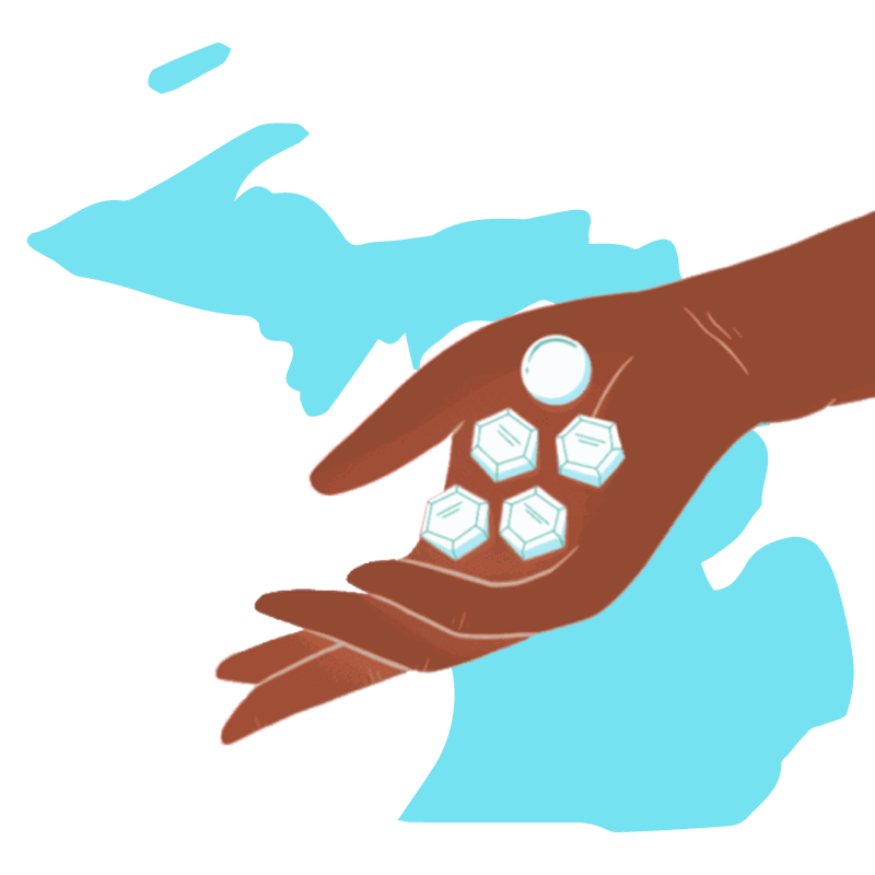 Abortion pill Michigan